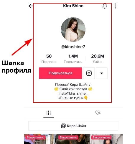 Что такое шапка профиля в TikTok