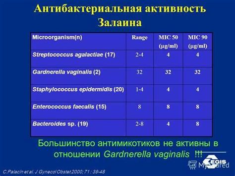 Что такое энтерококки и как они влияют на организм?