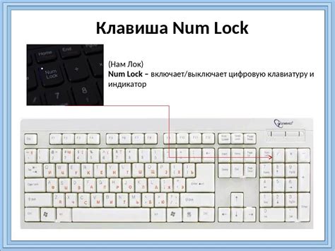 Что такое NumLock на клавиатуре компьютера