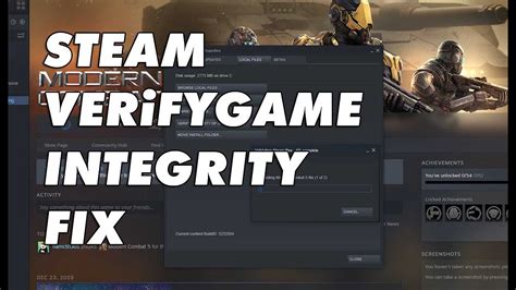 Что такое Steam Integrity Check