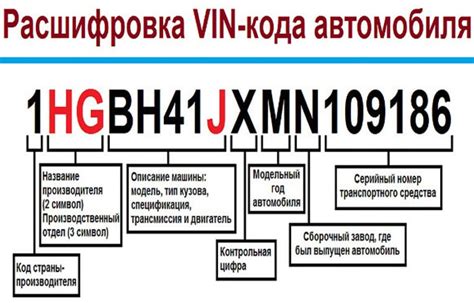 Что такое VIN и как его найти