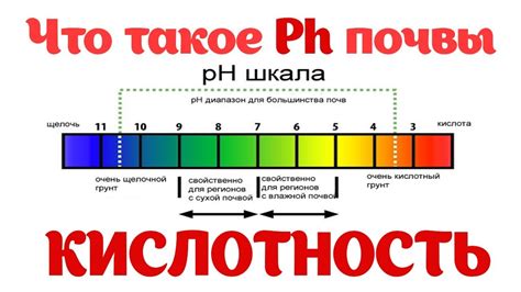 Что такое pH почвы