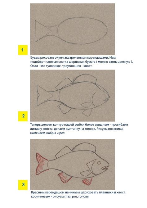 Шаги для создания основы окуня карандашом