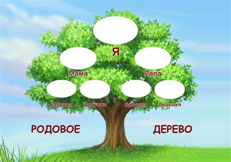 Шаги для создания родословного дерева на бумаге