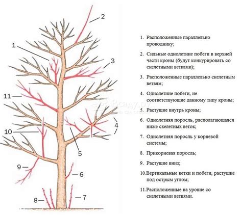 Шаги для успешного удаления фиче-ветки