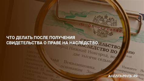 Шаги после оспаривания: что делать дальше?