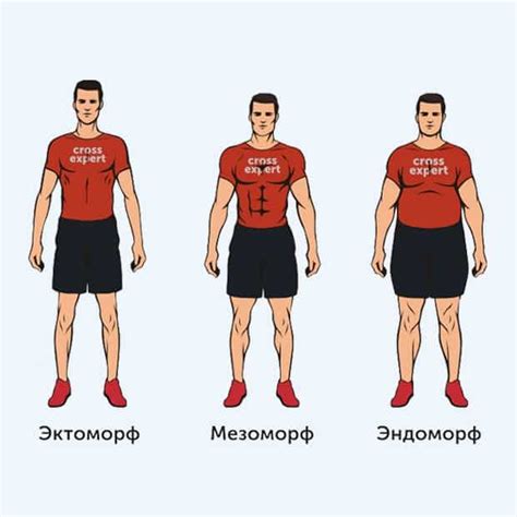 Шаги по построению основной формы тела человека