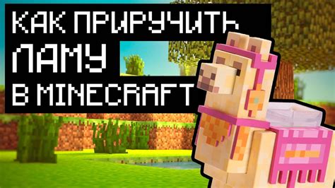 Шаги по приручению гиппогрифа в Minecraft