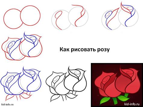 Шаги рисования розы