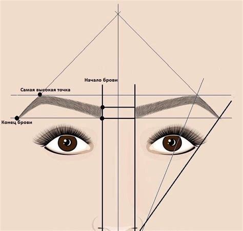 Шаги создания правильной формы бровей