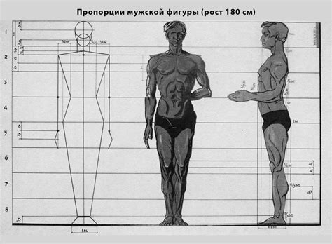 Шаг второй: эскиз и пропорции