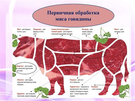 Шаг за шагом: подготовка и приготовление мясных крампетов