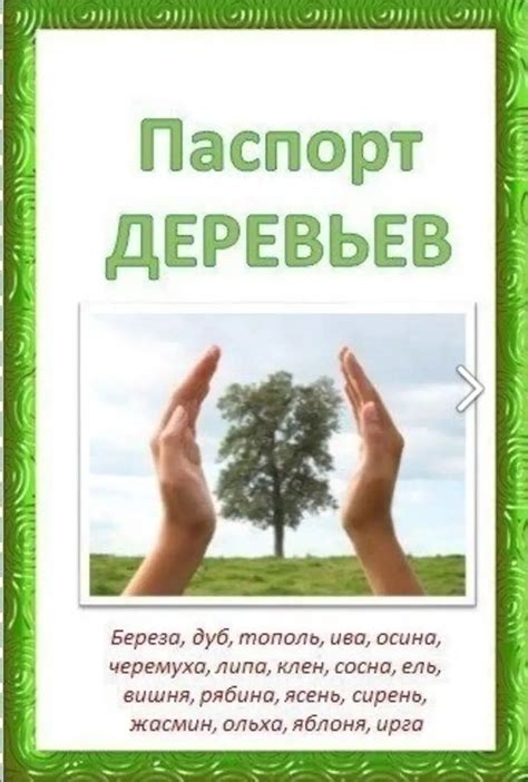 Шаг за шагом: руководство по созданию милых рисунков от dessins 365