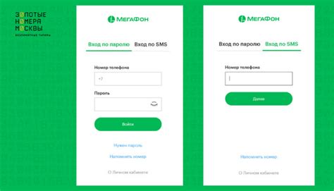 Шаг 1: Авторизация в личном кабинете Мегафон