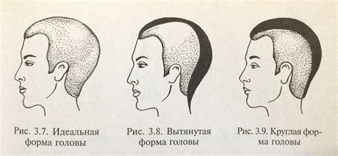 Шаг 1: Начертание формы головы