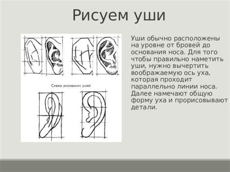 Шаг 1: Начертите общую форму уха