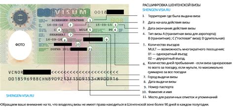 Шаг 1: Ознакомьтесь с требованиями и условиями для получения визы