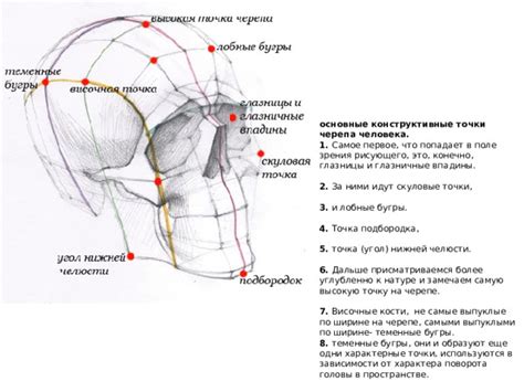 Шаг 1: Определение точки надлобковой впадины