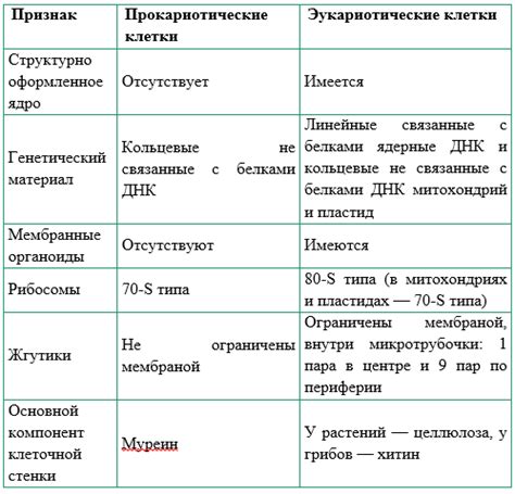 Шаг 1: Основные черты