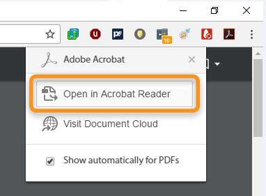 Шаг 1: Открытие документа в Adobe Reader