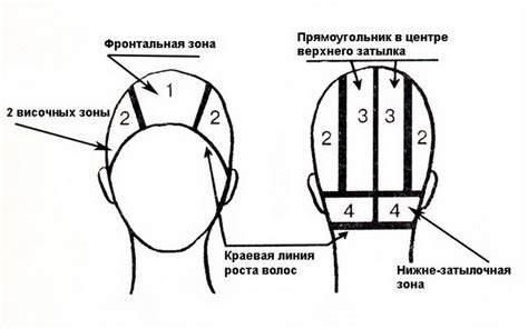 Шаг 1: Разделение волос на участки