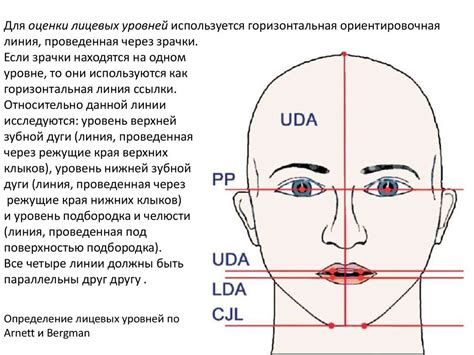 Шаг 1: Разметка лица и головы