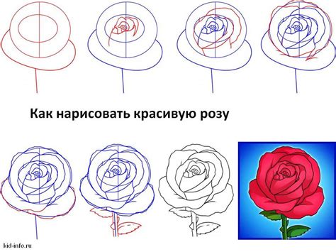 Шаг 1: Сделайте контур розы