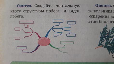 Шаг 1. Откройте Xmind и создайте ментальную карту