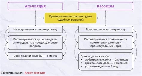 Шаг 2: Апелляционная инстанция и сроки