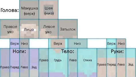 Шаг 2: Выберите базовый шаблон скина