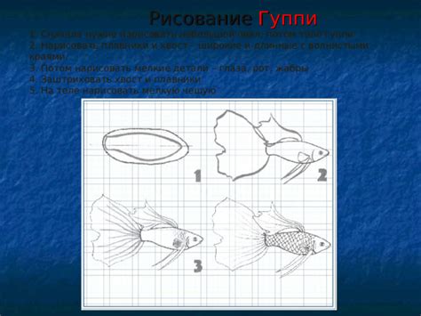 Шаг 2: Добавьте глаза, плавники и хвост