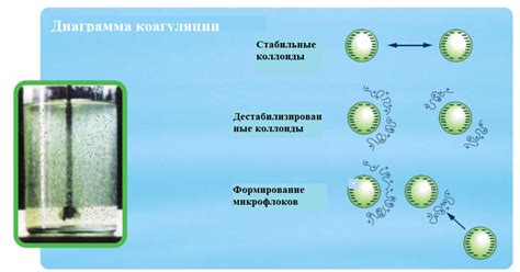 Шаг 2: Закваска и коагуляция