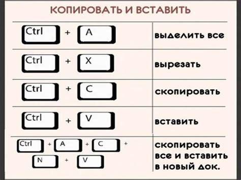 Шаг 2: Использование сочетания клавиш, чтобы скопировать текст