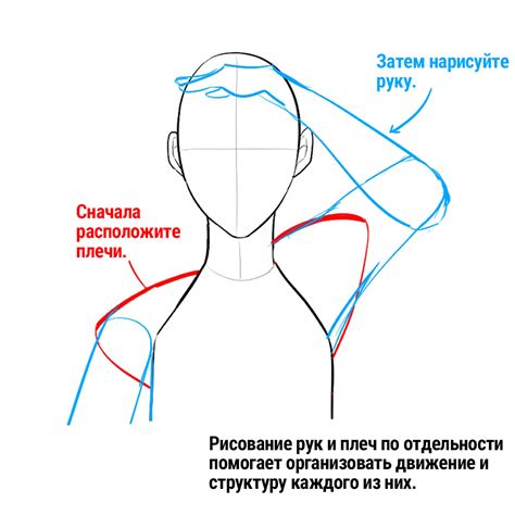 Шаг 2: Нарисовать плечи и верхние конечности