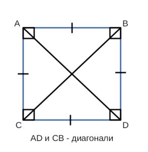 Шаг 2: Определение размеров квадрата