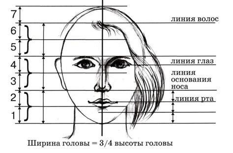 Шаг 2: Основы композиции и пропорции портрета