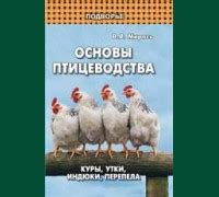 Шаг 2: Подготовка основы для утки