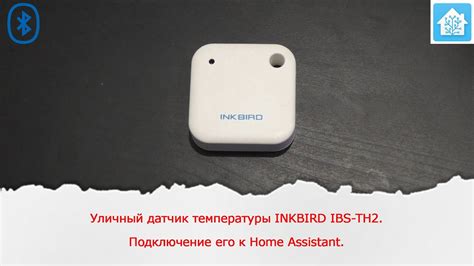 Шаг 2: Подключение Inkbird к устройству