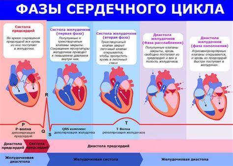 Шаг 2: Постепенное нанесение тонов и пластичных переходов