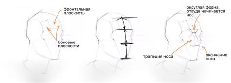 Шаг 2: Создание основы портрета