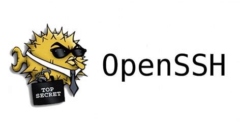 Шаг 2: Установка пакета OpenSSH