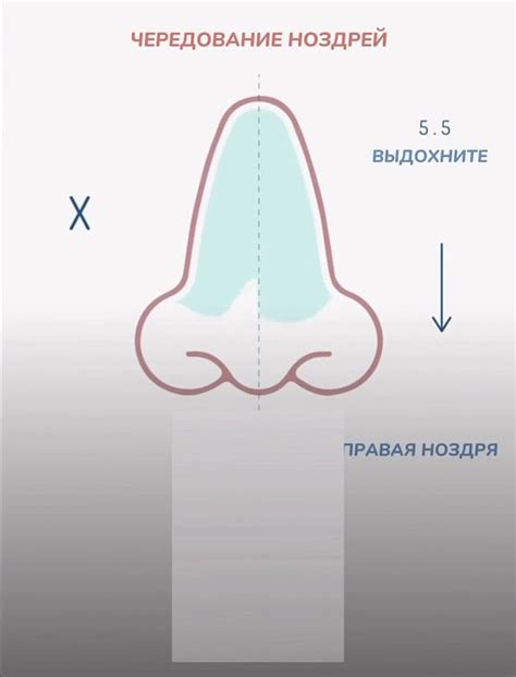 Шаг 2. Отобразите дыхание и ноздри