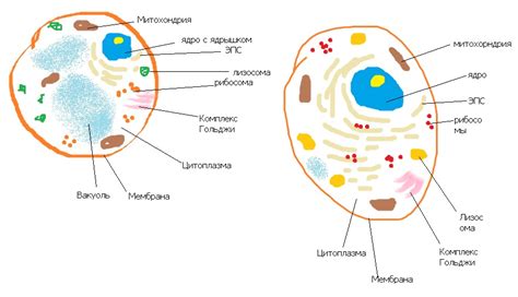 Шаг 2. Создание схемы и обозначения клеток