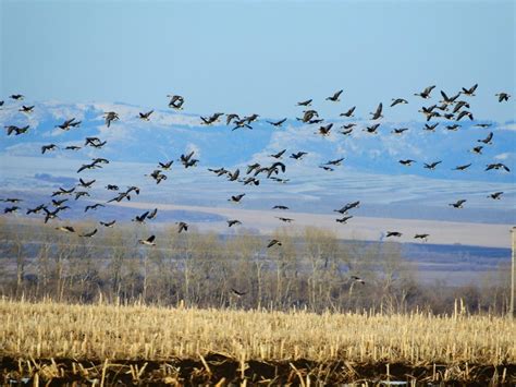 Шаг 3: Выбор правильного места и замеры