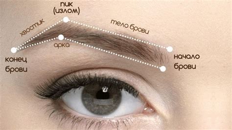 Шаг 3: Определение точки начала, вершины и окончания брови