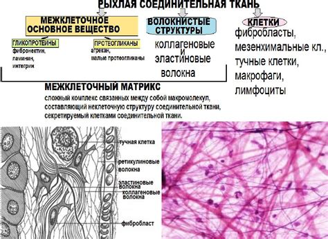 Шаг 3: Пропитывание ткани растворителем