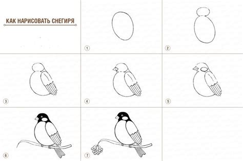 Шаг 3: Рисование деталей снегиря