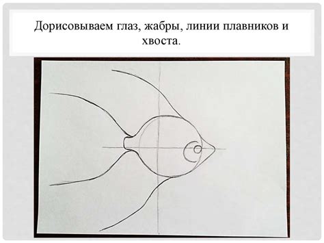 Шаг 3: Рисование плавников и хвоста