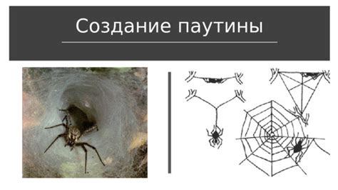 Шаг 3: Создание паутины