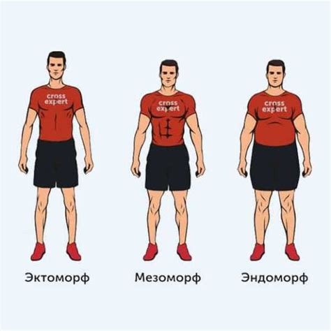 Шаг 3: Старт процесса создания основной формы тела Рекса